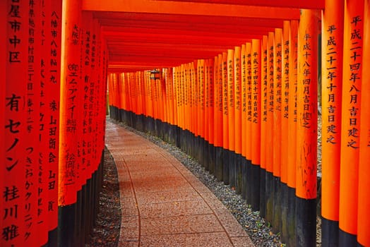 the famous japanese path with red gate