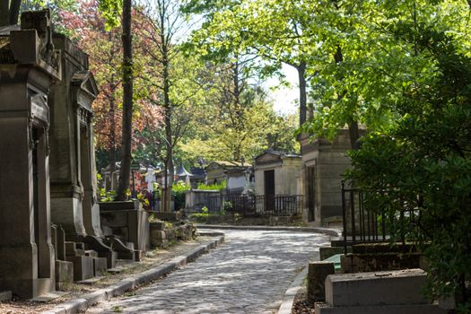 The tranquility of a tree-lined street to the cemetery