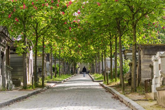 The tranquility of a tree-lined street to the cemetery
