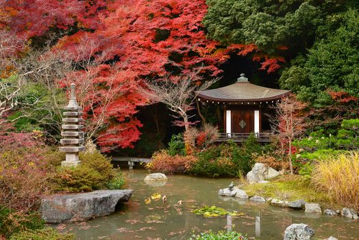 japanese style building with autumn leaves