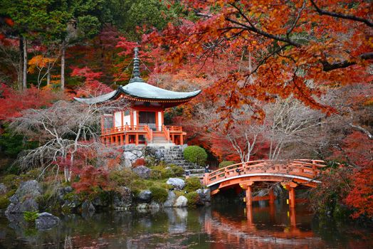 japanese building in Daigoji temple in kyoto with autumn scene