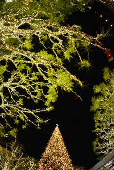 christmas tree in downtown southern california