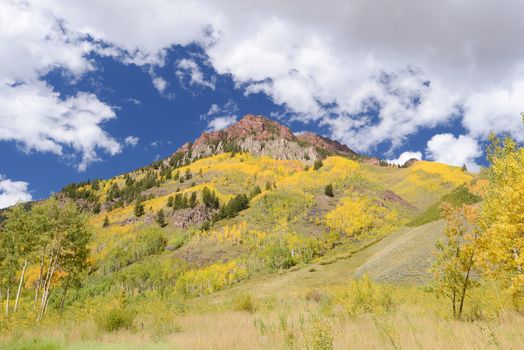 aspen tree with mountain peak in colorado during mid autumn