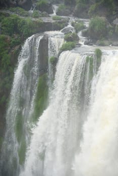 Iguassu waterfall in south america tropical jungle with a massive flow of water