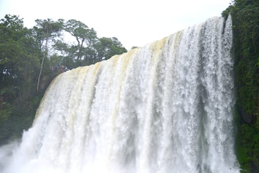 Iguazu waterfall in south americal tropical jungle with a massive flow of water