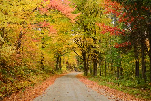 a local road in vermont with colorful autumn foliage