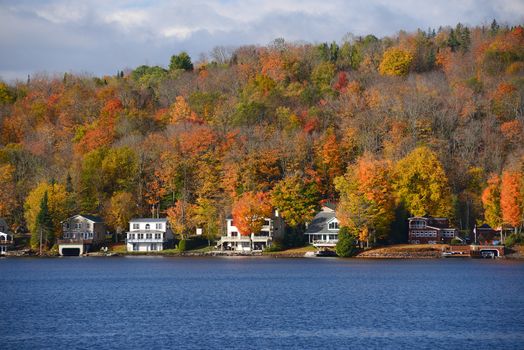 colorful autumn foliage by lake side in vermont