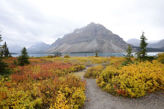 mountain at bow lake in canada