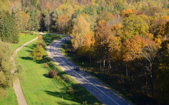 Photo of a road in the forest from a large distance. Nature photography.