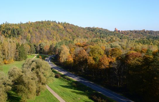 Photo of a road in the forest and a castle from a large distance. Nature photography.