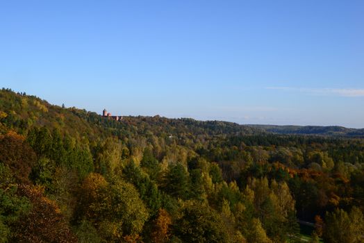 Photo of medieval castle from a large distance among the trees. Nature photography.