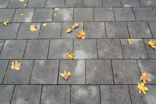 Photo of orange leaves on a stone road. Taken in Sigulda, Latvia.