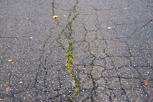 Photo of an asphalt road with a crack. May be used for texture and background.