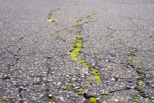 Photo of an asphalt road with a crack. May be used for texture and background.