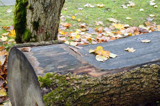 Photo of a wooden bench in the park. Taken in Sigulda, Latvia.
