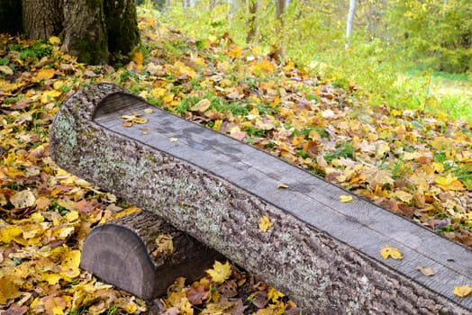 Photo of a wooden bench in the park. Taken in Sigulda, Latvia.