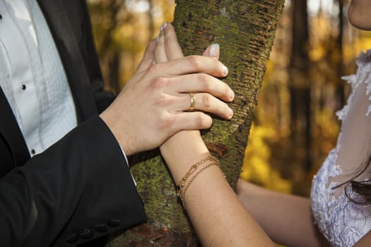 The groom holds the hand of the bride