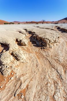 Sossusvlei beautiful sunrise landscape of hidden death valley in Namibian desert with blue sky, best place in Namibia