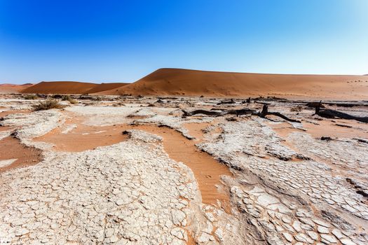 Sossusvlei beautiful sunrise landscape of hidden death valley in Namibian desert with blue sky, best place in Namibia