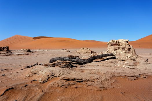 Sossusvlei beautiful sunrise landscape of hidden death valley in Namibian desert with blue sky, best place in Namibia