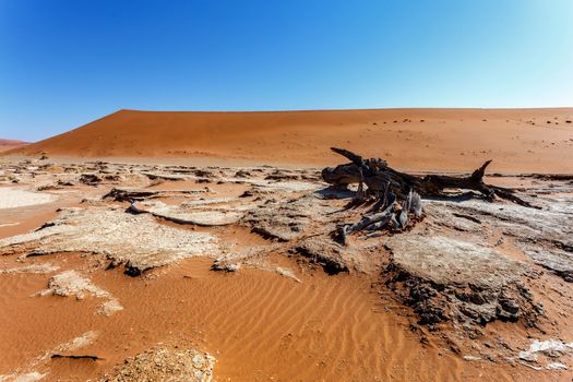 Sossusvlei beautiful sunrise landscape of hidden death valley in Namibian desert with blue sky, best place in Namibia