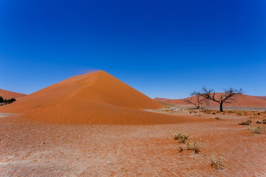 Dune 45 in sossusvlei Namibia, biggest dune in the world