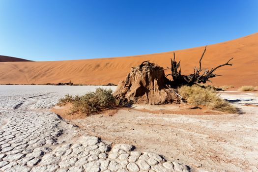 Sossusvlei beautiful sunrise landscape of hidden death valley in Namibian desert with blue sky, best place in Namibia