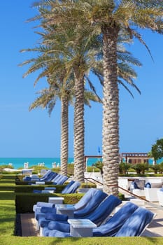 View of deckchairs and palm trees