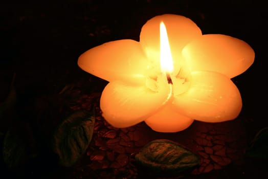 Photo of a white flower-shaped candle burning on a black background.