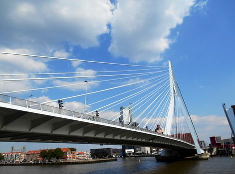 Close up view of Erasmus bridge (Erasmusbrug), Rotterdam, The Netherlands.

Picture taken on August 27, 2013.