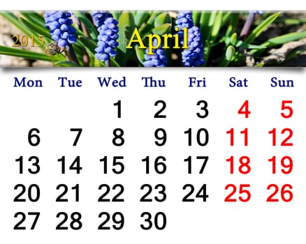calendar for May of 2015 year with ribbon of blooming muscari