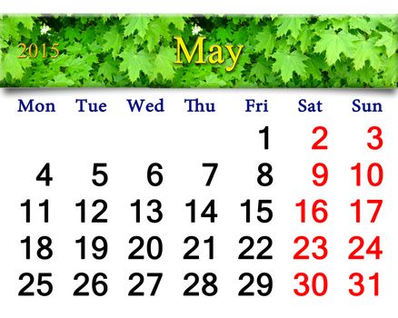 calendar for May of 2015 year on the background of green maple