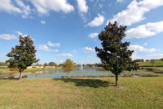 A Lake with fountain and some trees