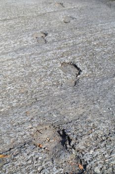 footprints on a concrete