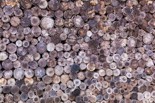 wood log texture background