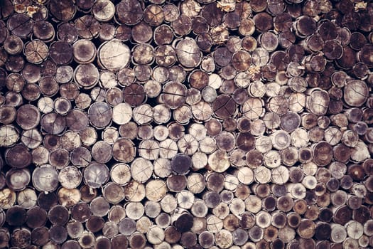 wood log texture background