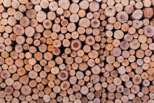 wood log texture background