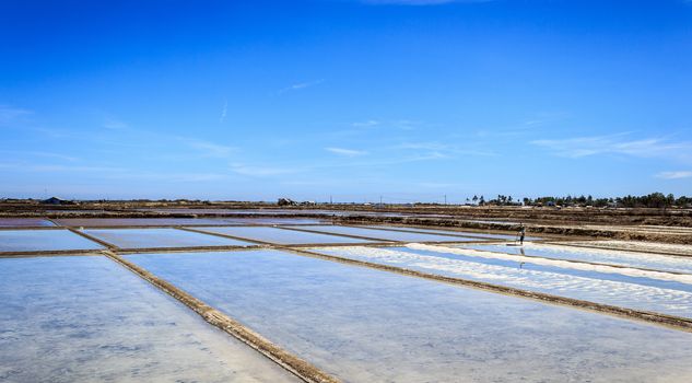 This farmer is producing salt