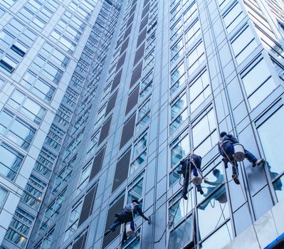 Group of Cleaners are cleaning windows of a office building