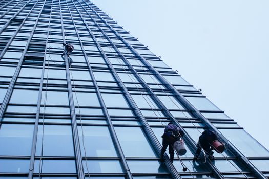 Group of Cleaners are cleaning windows of a office building