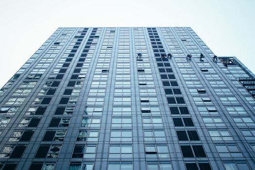 Group of Cleaners are cleaning windows of a office building