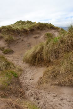 path through dunes at the maharees a beautiful beach in county Kerry Ireland