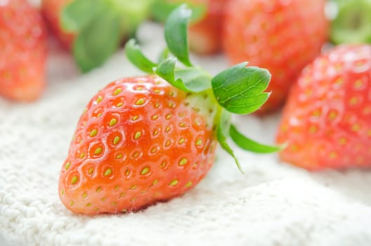 close up of fresh strawberries , red fruits