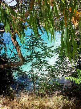 A view of the crystal-clear waters of Battaria beach in Corfu island, Greece, through the trees.

Picture taken on June 29, 2014.