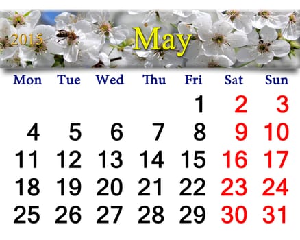 calendar for May of 2015 year with white blooming cherry