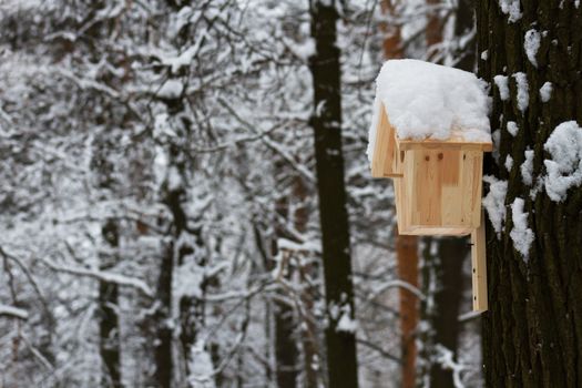 Wooden house for the birds in winter Park. Covered with snow