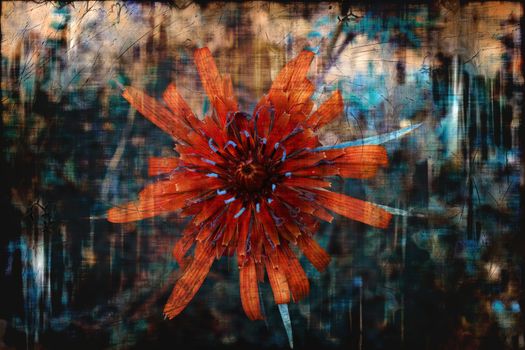 Close up view of a grungy orange flower