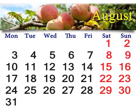 beautiful calendar for the August of 2015 year with image of apples