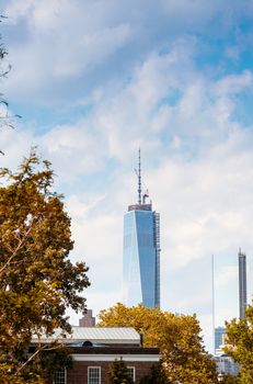 View of New York. Manhattan skyscrapers framed by trees.