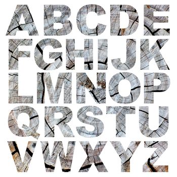 alphabet a to z made from tree bark picture